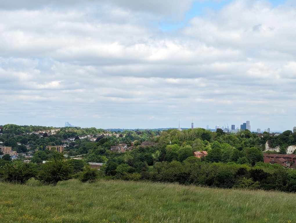 View from Farthing Hill