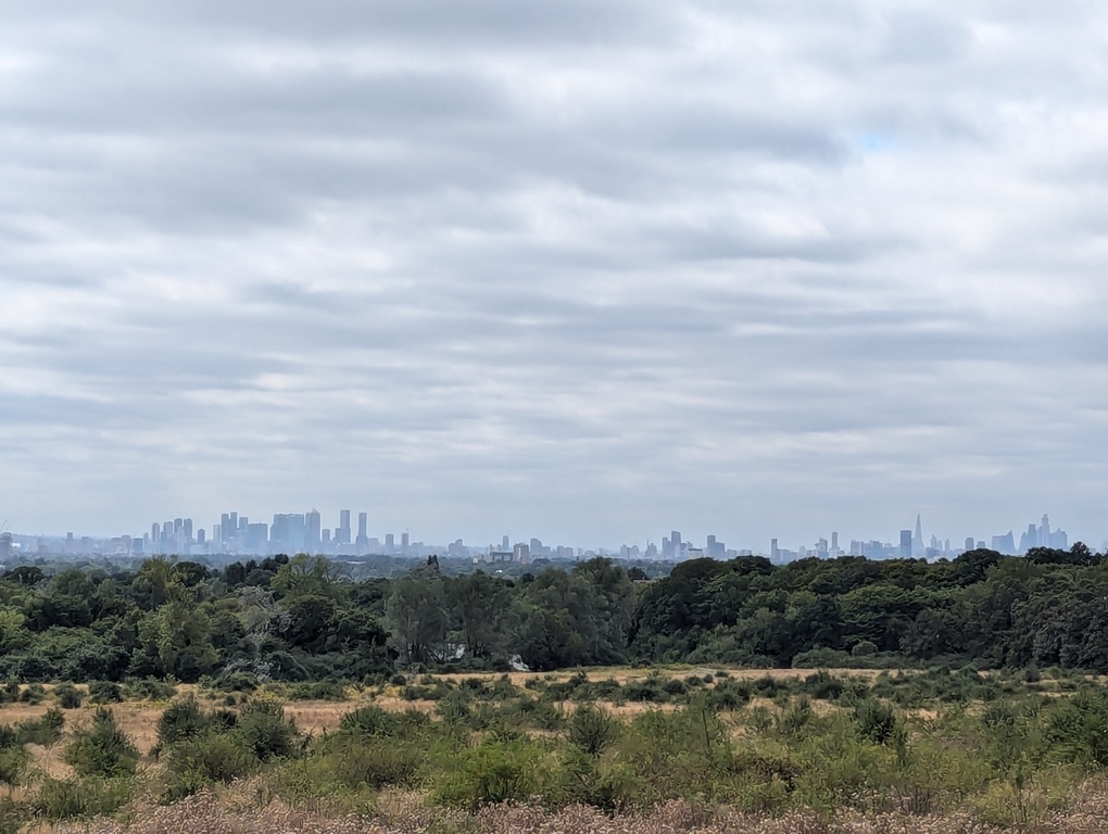 View from Hainault Forest Park